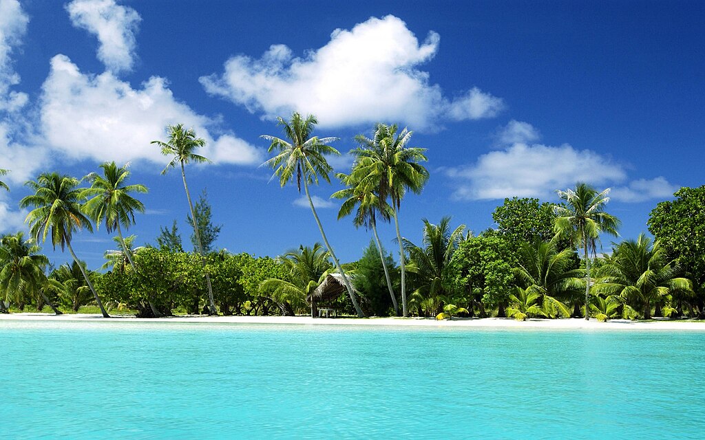Beach-wallpaper-3